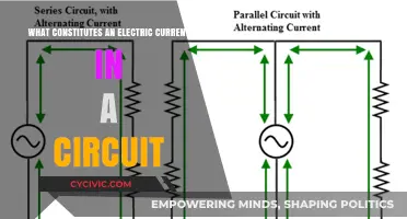 Electric Circuits: Understanding Current Flow