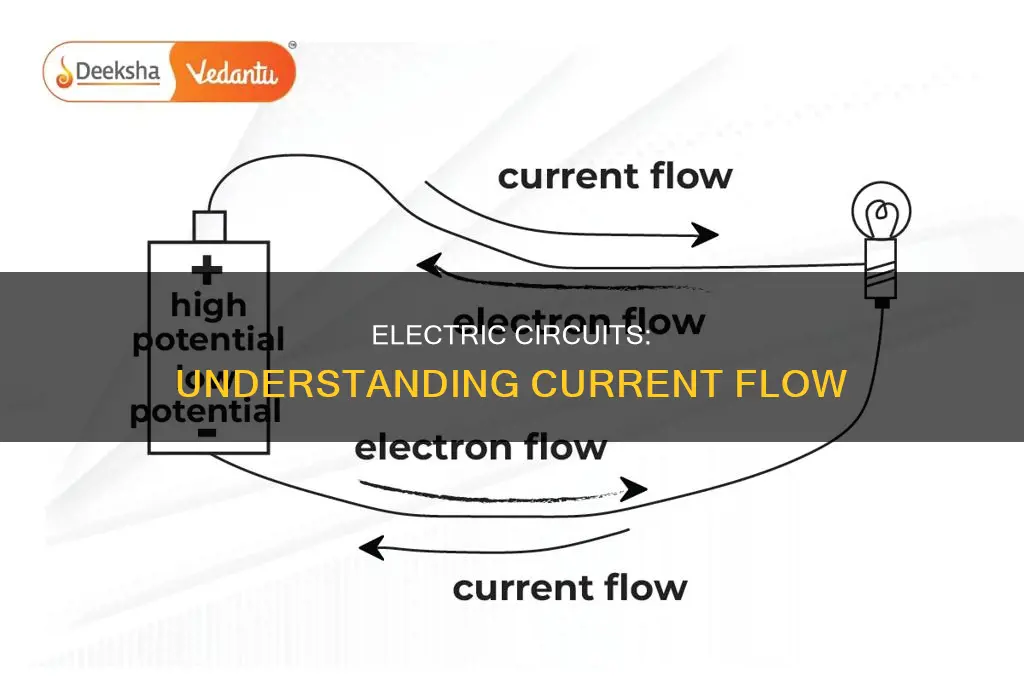 what constitutes an electric current in a circuit