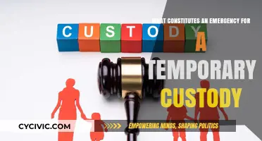 Understanding Temporary Custody Emergencies: When to Take Action