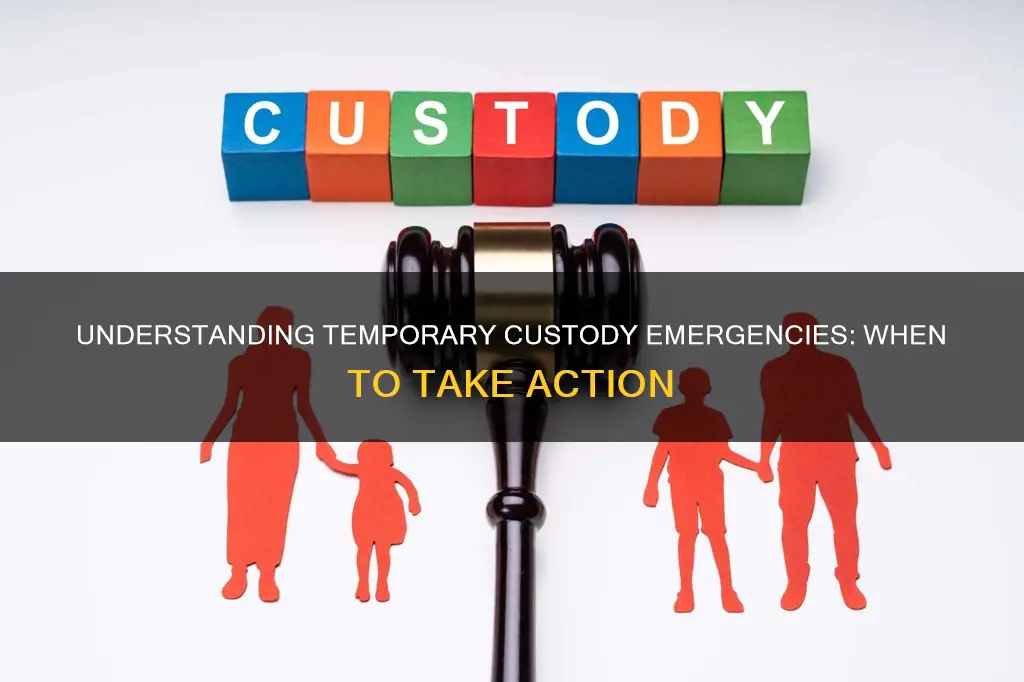 what constitutes an emergency for a temporary custody