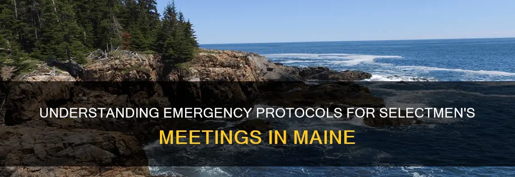 what constitutes an emergency in maine for a selectmen