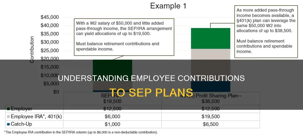 what constitutes an employee contribution to a sep