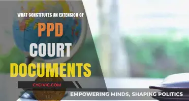 PPD Court Documents: Understanding Extensions and Their Reasons