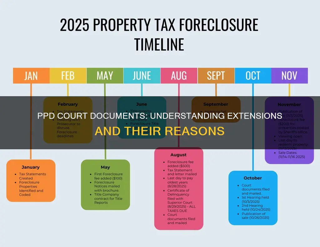 what constitutes an extension of ppd court documents