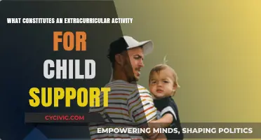 Exploring Extracurriculars: Child Support and Activity Costs