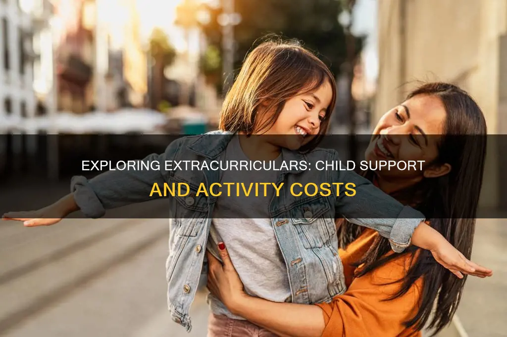 what constitutes an extracurricular activity for child support