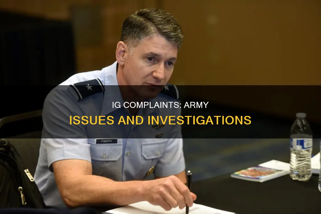 what constitutes an ig complaint in the army