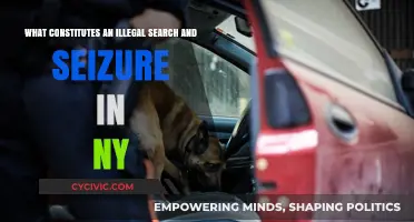 Understanding Illegal Search & Seizure in New York