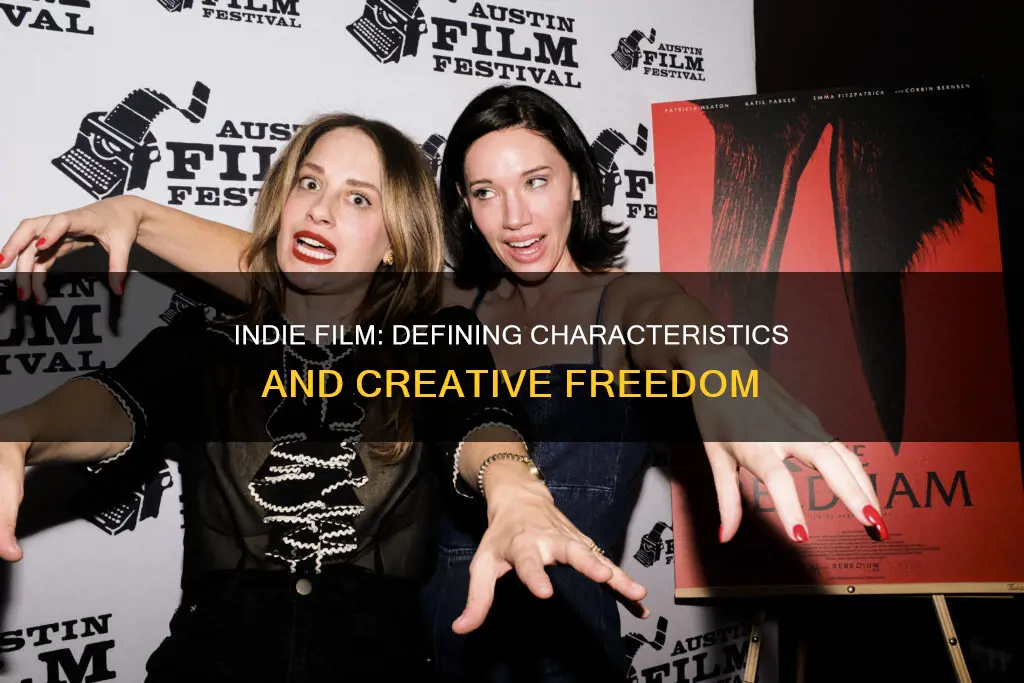 what constitutes an indie film