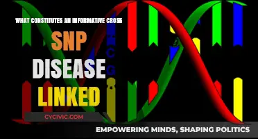 Understanding Disease Links: Cross-SNP Informative Analysis