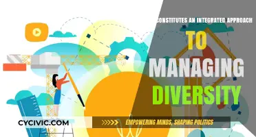 Diversity Management: An Integrated Approach