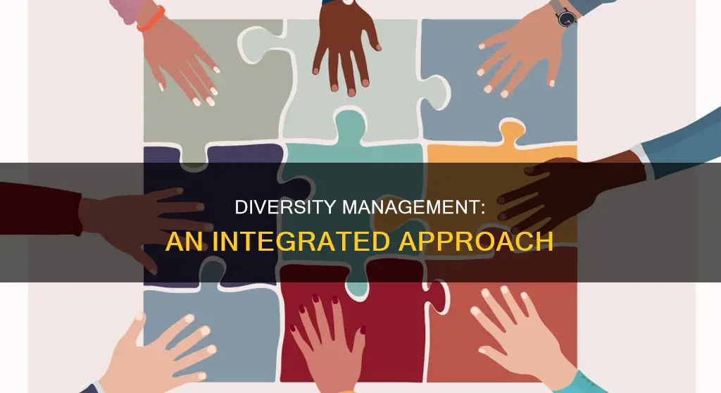 what constitutes an integrated approach to managing diversity