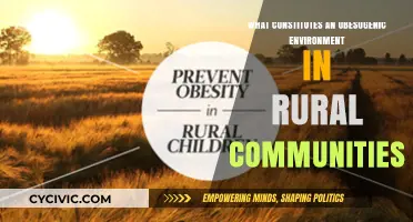 Obesogenic Environments: Rural Communities at Risk