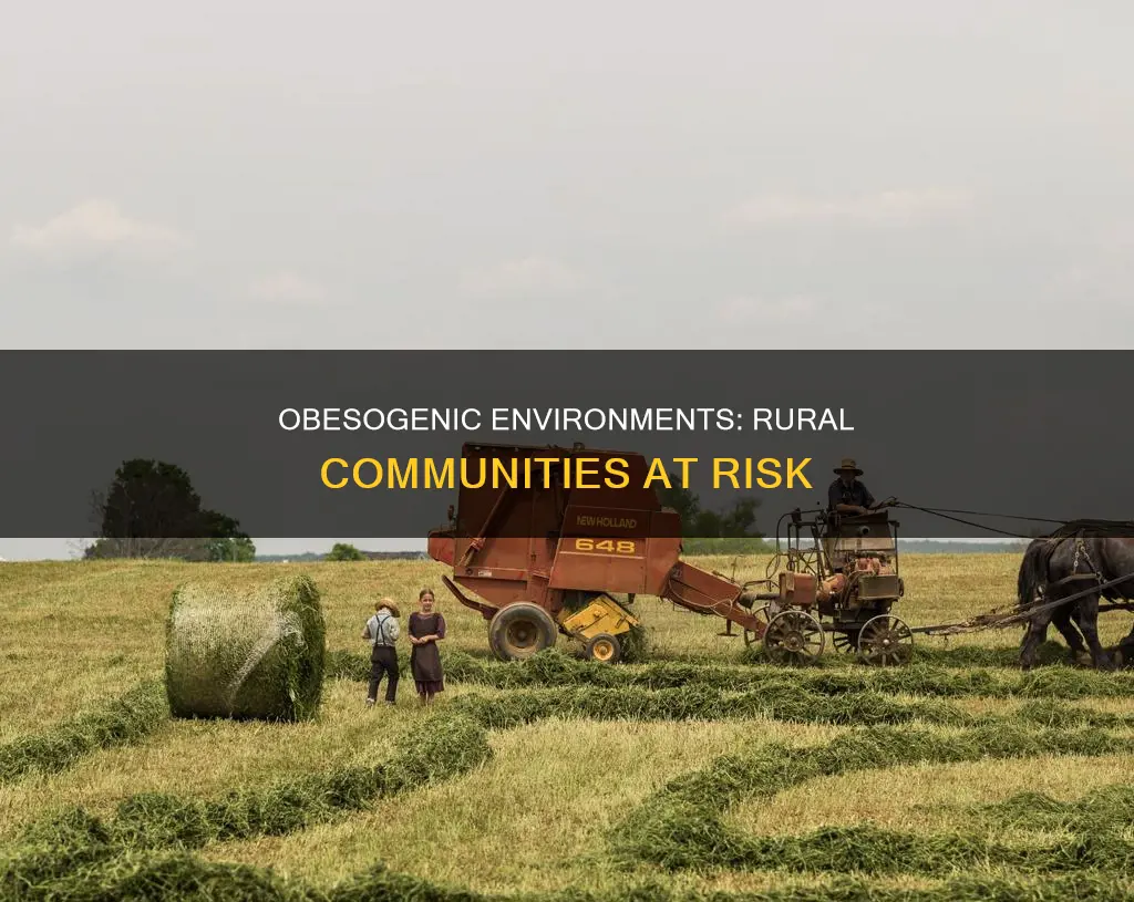 what constitutes an obesogenic environment in rural communities