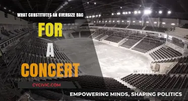 Concert Bag Rules: What's Oversized and Why It Matters