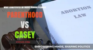 Understanding Undue Burden: Planned Parenthood v. Casey