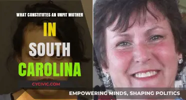 Unfit Motherhood: South Carolina's Legal Perspective