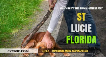 Animal Offenses in Port St. Lucie: What You Need to Know