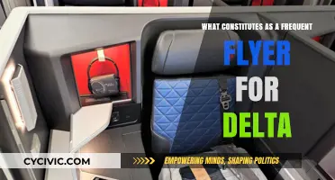 Delta's Frequent Flyer: What Makes You One?