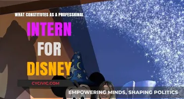 Disney Internship: What Makes a Successful Candidate?