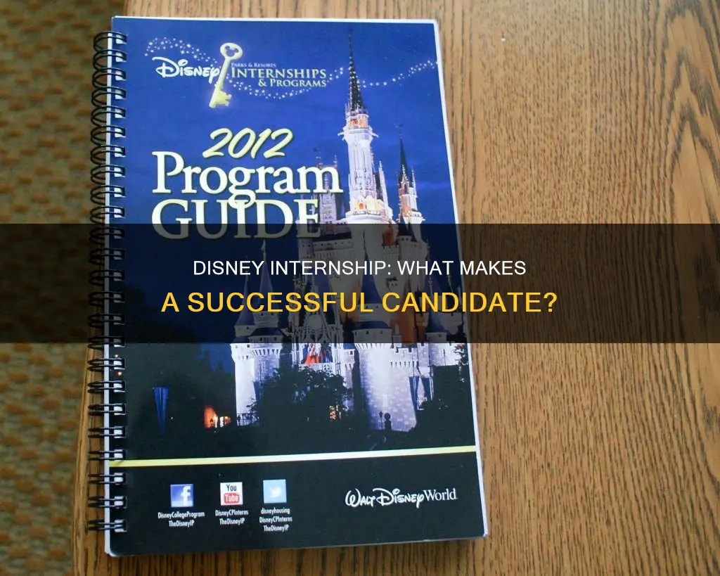 what constitutes as a professional intern for disney