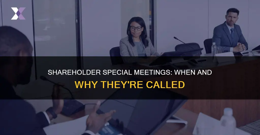what constitutes as a special meeting for shareholders