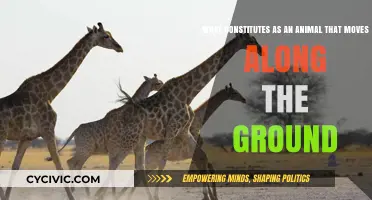 Creatures That Crawl: Defining Ground-Dwelling Animals