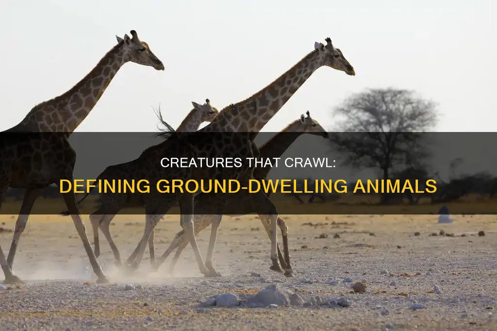 what constitutes as an animal that moves along the ground