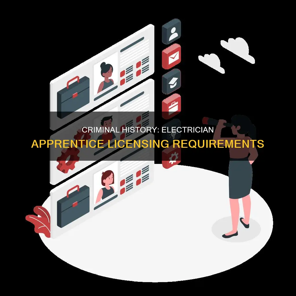 what constitutes as criminal history for tdlr apprentice electrician license