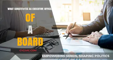 Who Qualifies as an Executive Officer of a Board?