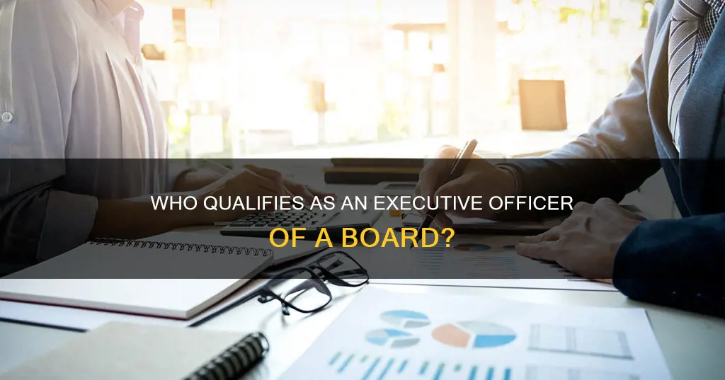 what constitutes as executive officer of a board