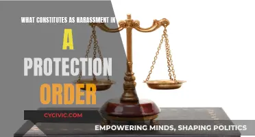 Understanding Harassment: Protection Order Parameters