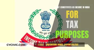 Understanding India's Taxable Income Parameters