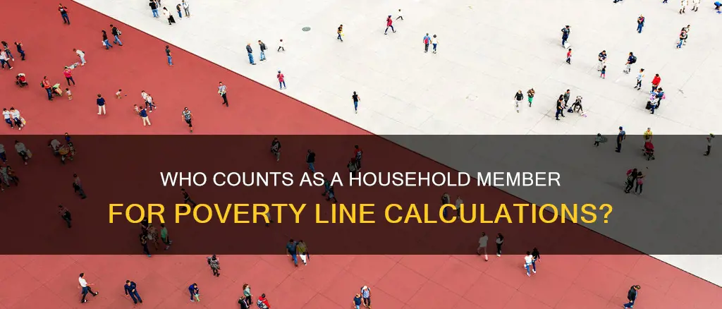 what constitutes as person in household for poverty line
