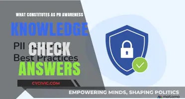 PII Awareness: Understanding Personal Identifiable Information