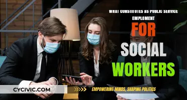 Social Workers: What Counts as Public Service?