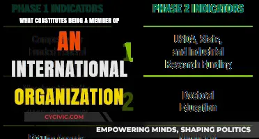 Joining an International Organization: What Makes You a Member?