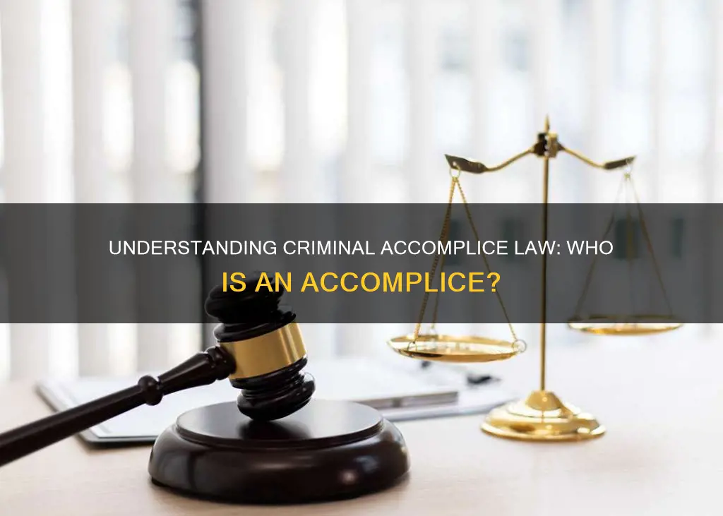 what constitutes being an accomplice to a crime