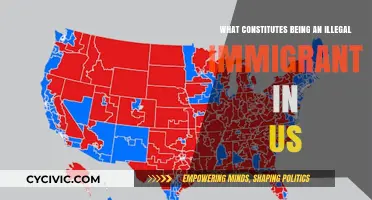 Understanding Illegal Immigration Status in the US