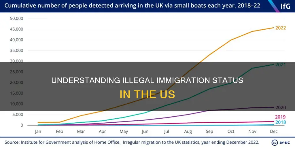 what constitutes being an illegal immigrant in us