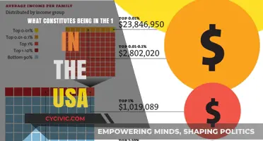 The Elite Status: Defining America's Top 1%
