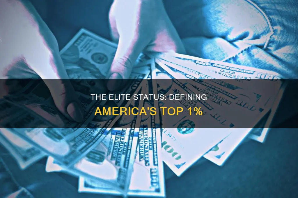 what constitutes being in the 1 in the usa