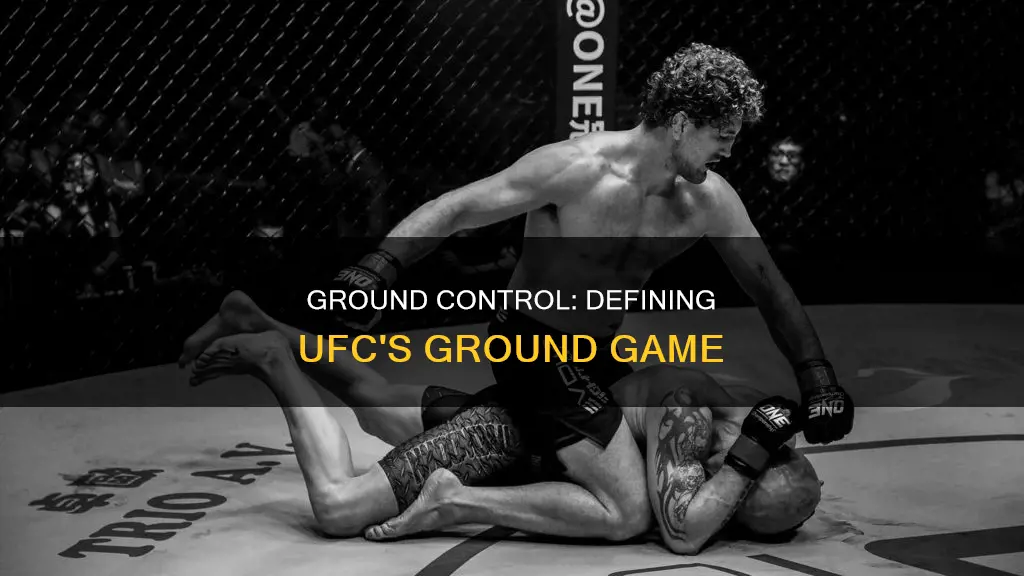 what constitutes being on the ground in ufc