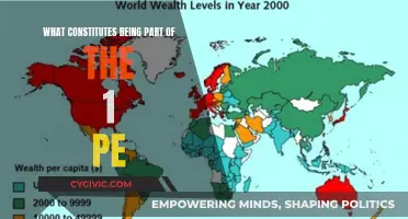 The Elite Status: Defining the 1 Percenters