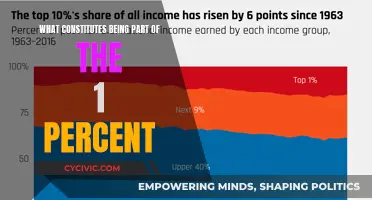 The Richest of the Rich: Defining the Top 1%