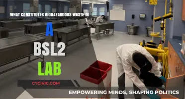 Understanding Biohazardous Waste in a BSL2 Lab