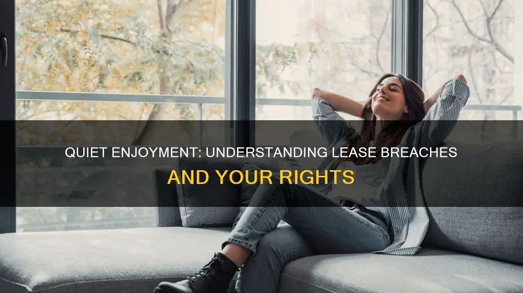 what constitutes breach o0f quiet enjoyment on lease