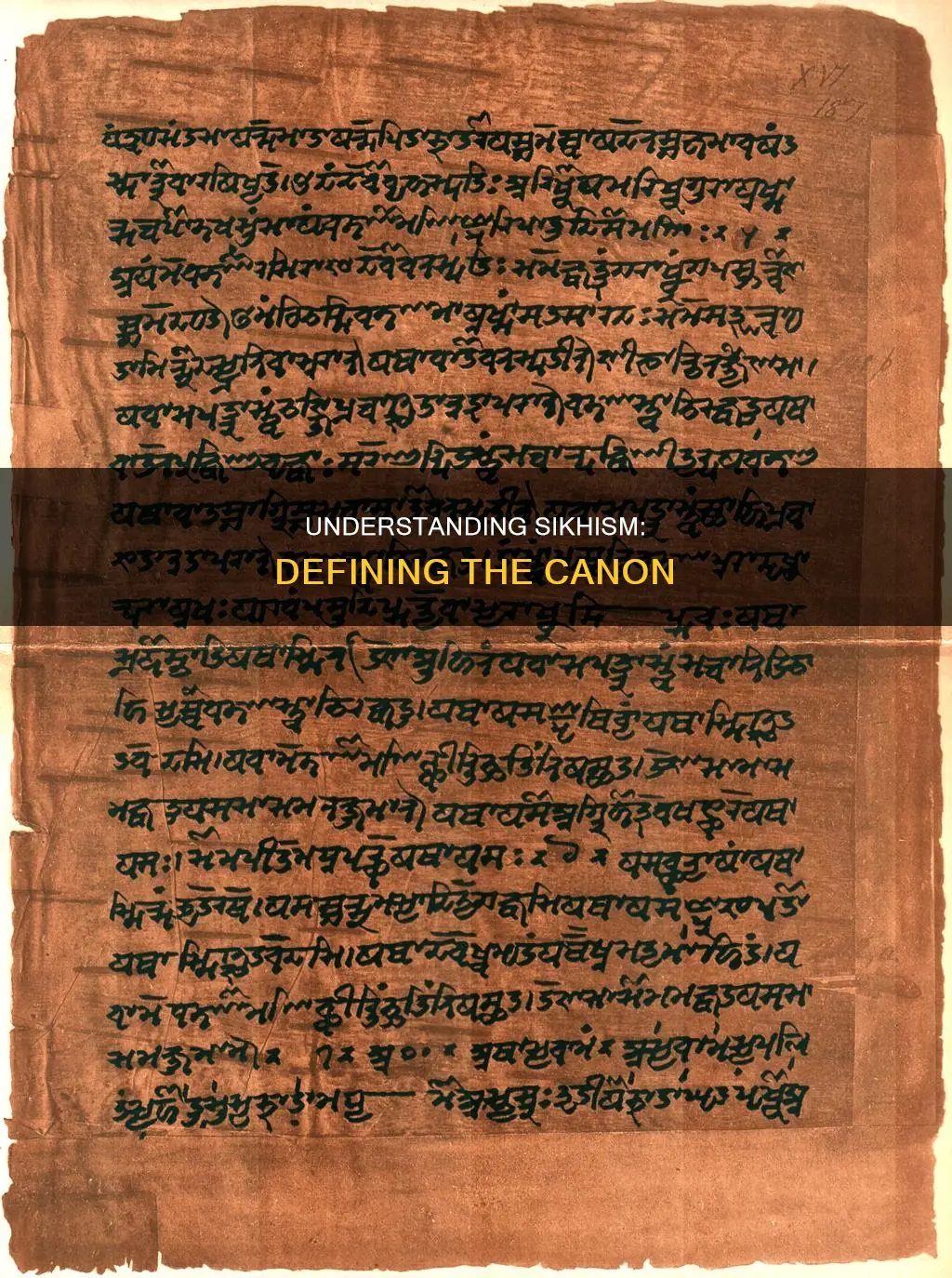 what constitutes canon for those who practice sikhism