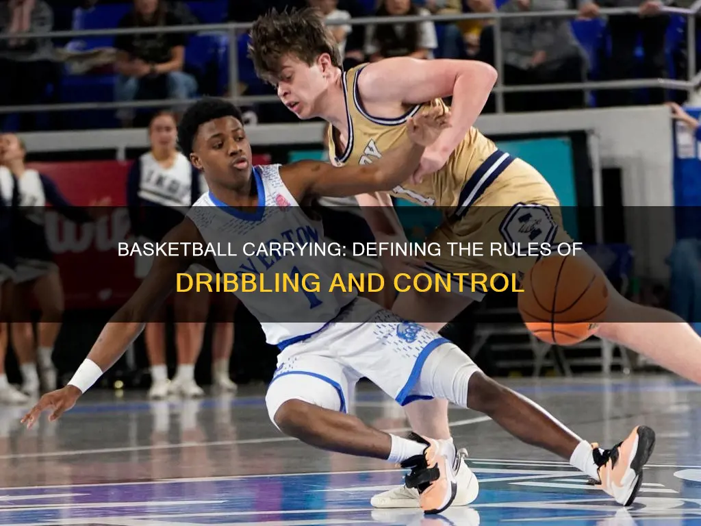 what constitutes carrying the ball in basketball