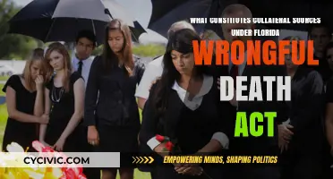 Understanding Collateral Sources Under Florida's Wrongful Death Act